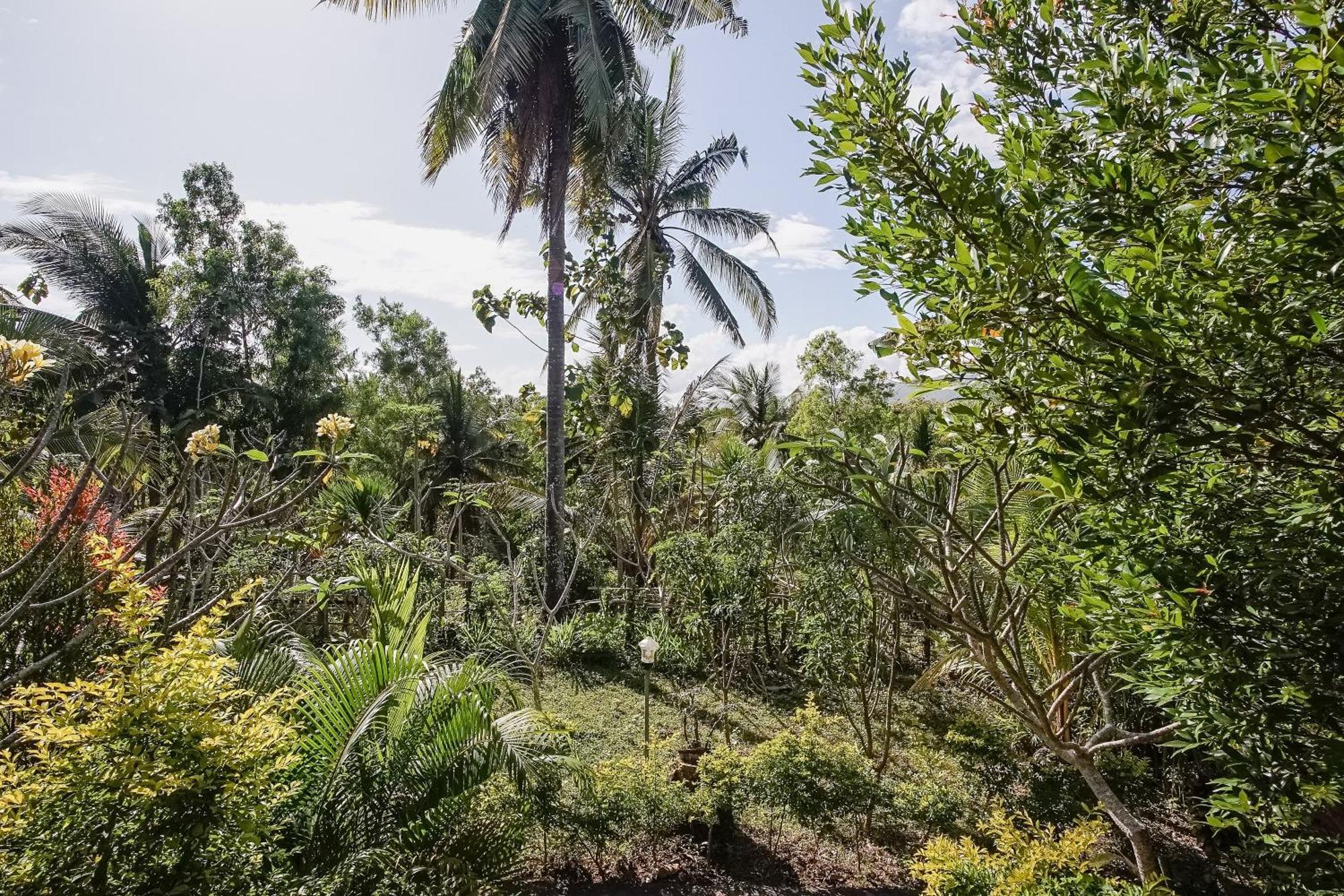 Penida Lapaya Bungalows Nusa Penida Sakti Экстерьер фото